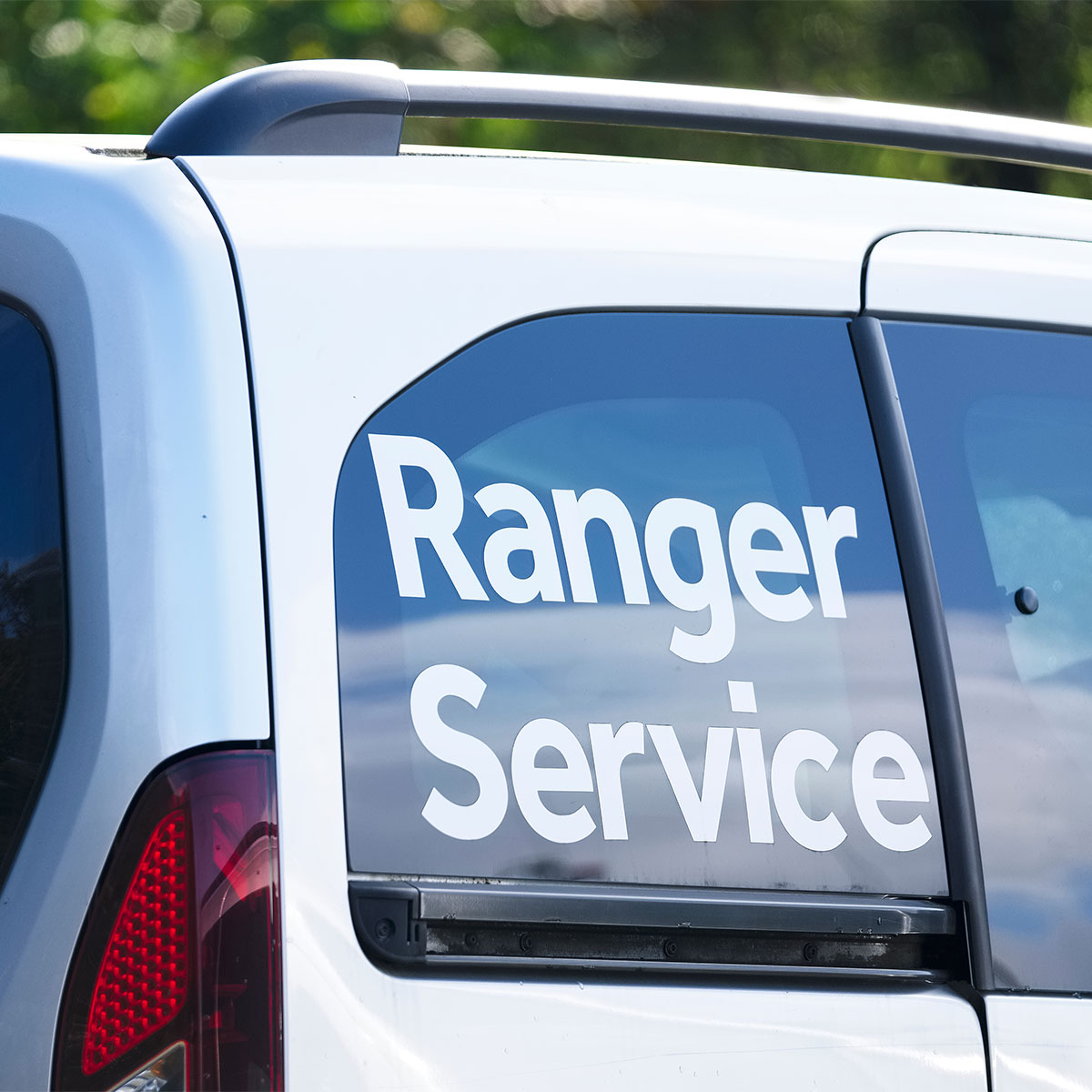 Vehicle Lettering