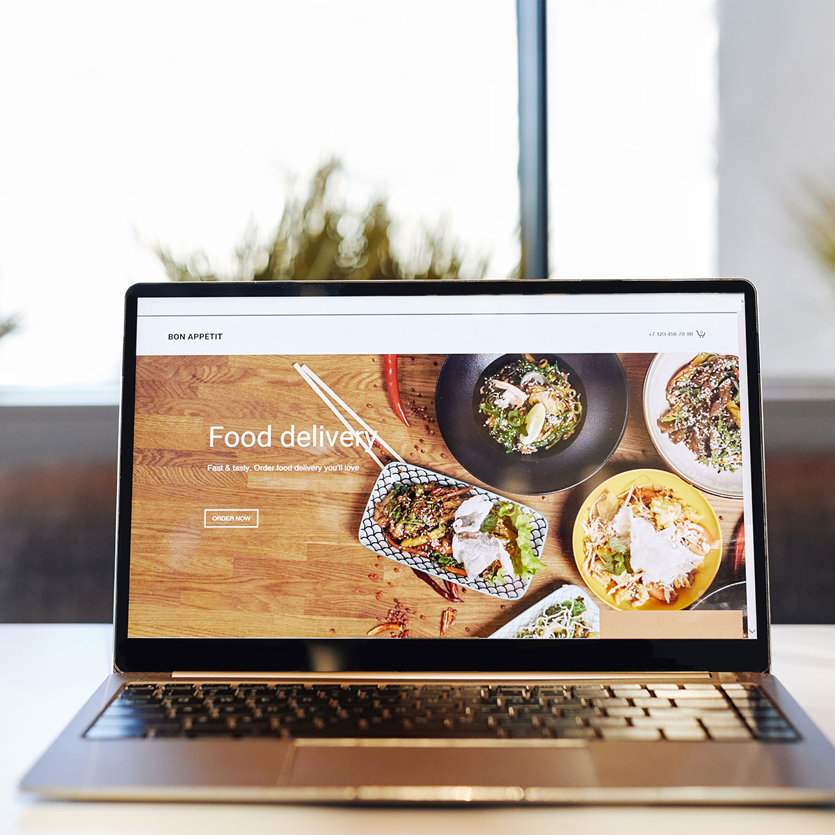Web Design